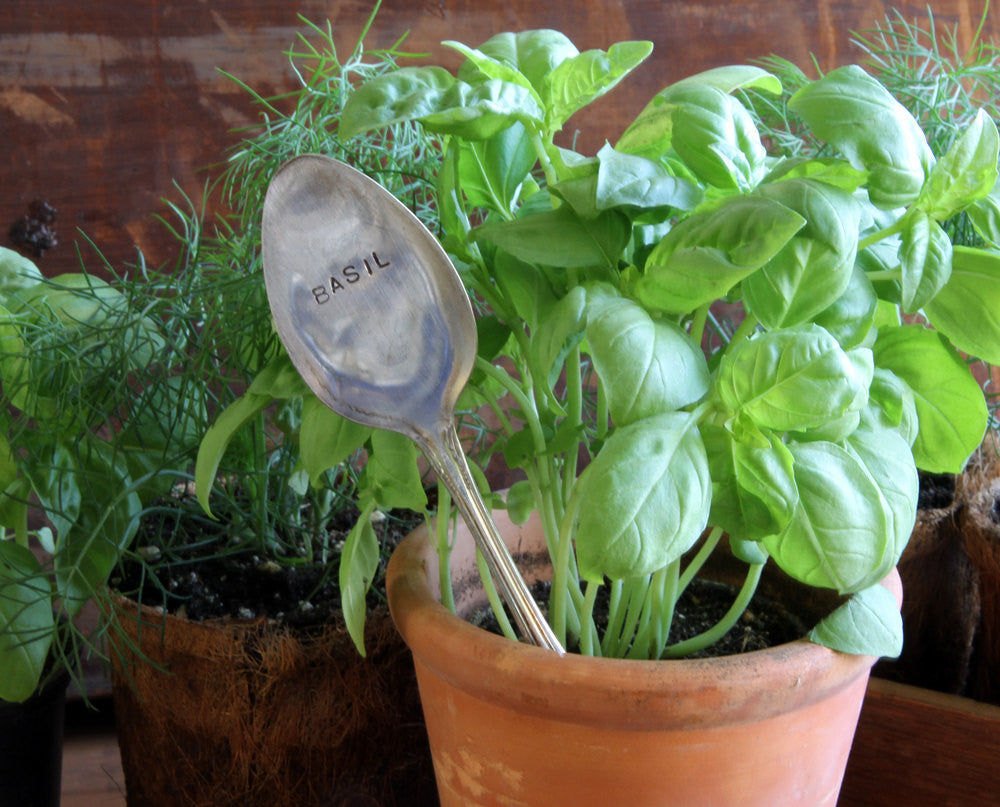 Silverware garden marker basil plantable paper herb kit (S0295)