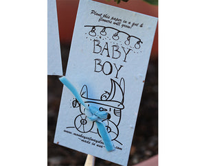 Blue baby boy wildflower kit plantable seed paper with garden marker (S0387)