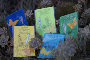 Grow A Wish Seed Paper Kit (S0429)