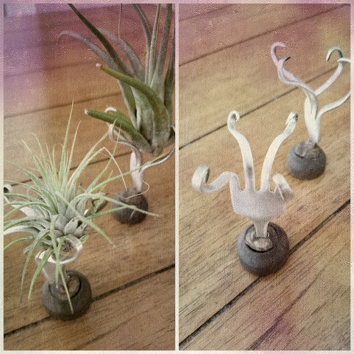 air plant driftwood holder Spoon Airplant Holder S0636