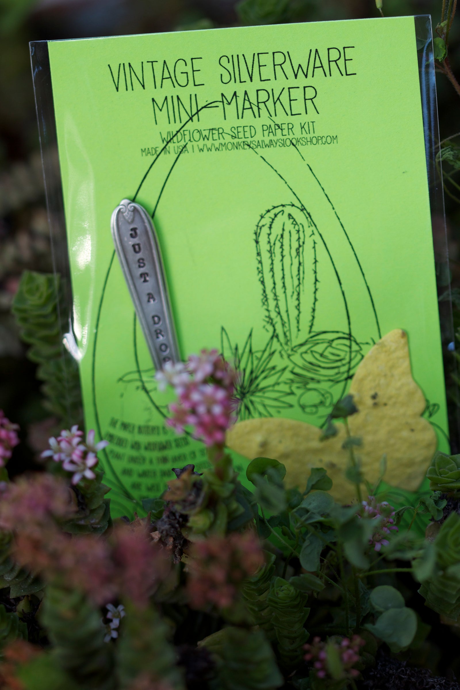Terrarium Vintage Mini Marker Seed Kit (S0430)