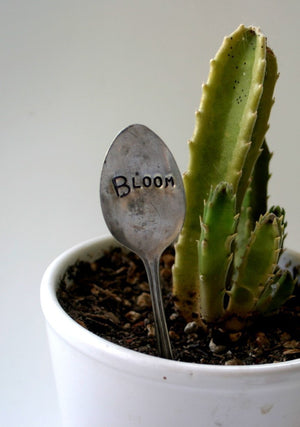 Spoon Plant Stake Bloom