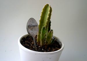 Spoon Plant Stake Bloom